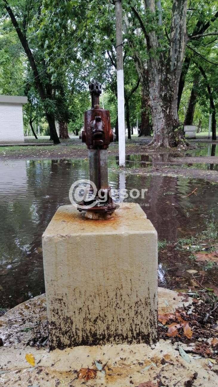 Image3